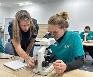 avt animal care careers vet nurse image gallery 06