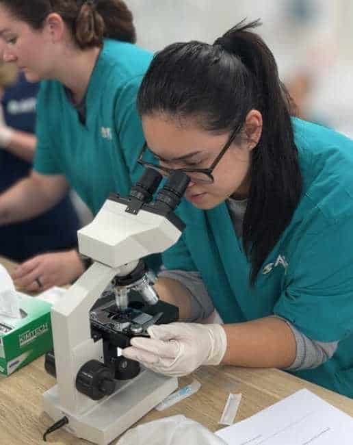 Cysto for vet nurses cpd