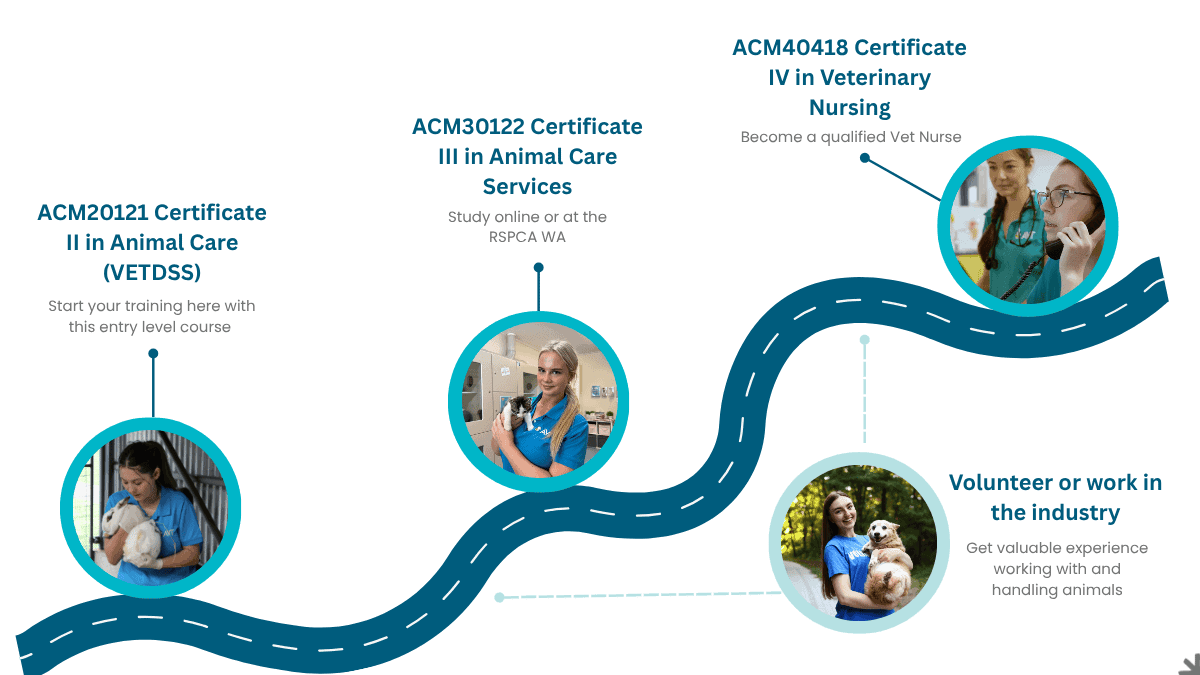 AVT Study pathway for cert II - map for animal care