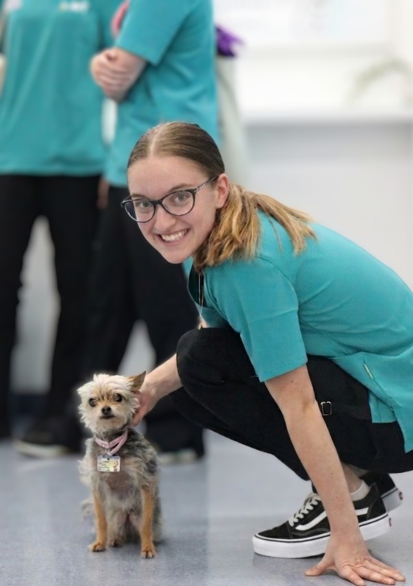 AVT Applied Vocational Training animal studies courses