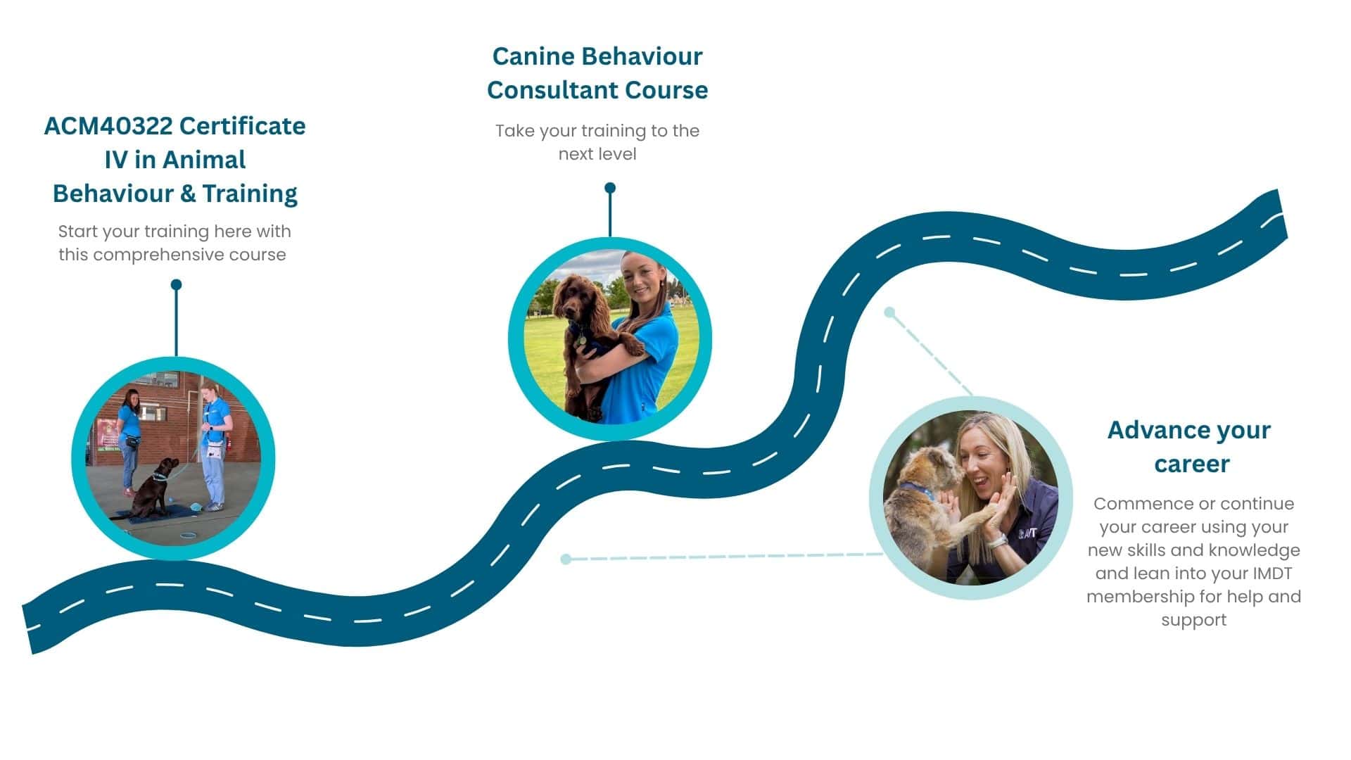 pathways for dog trainers in australia