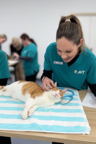 CPD for WA vet nurses, continuing education