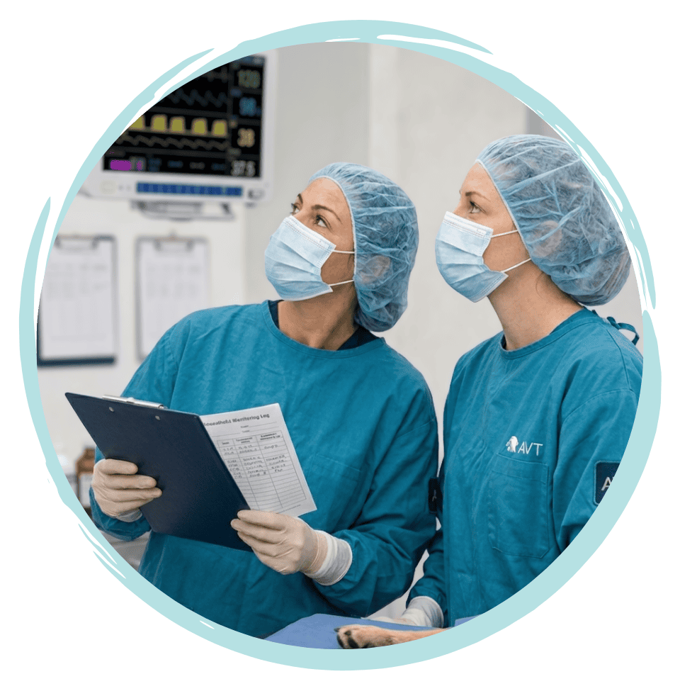 Advanced anaeshetic monitoring course for vet nurses