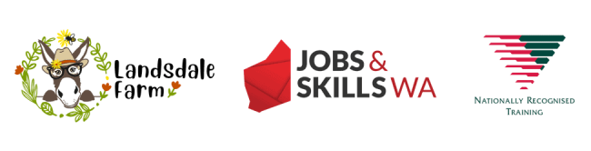 VET program with funding for school students