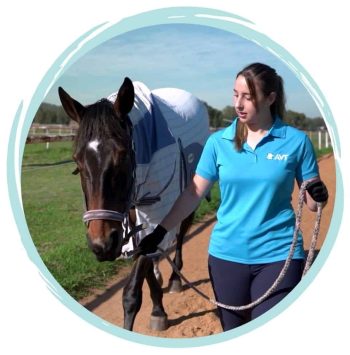 Equine and Horse care qualification - online course Australia