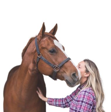 horse-care-fundamentals-skills-short-course